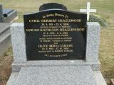 image of grave number 814920